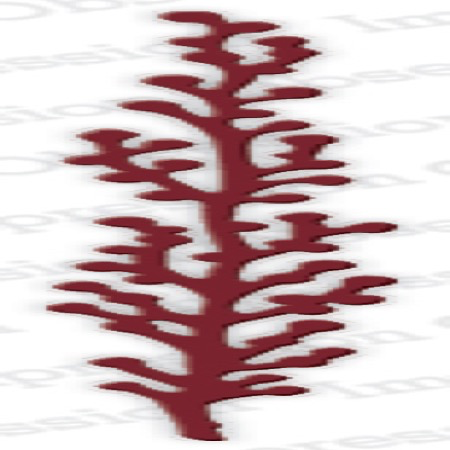 Impression Obsession - Dies - Berry Branch