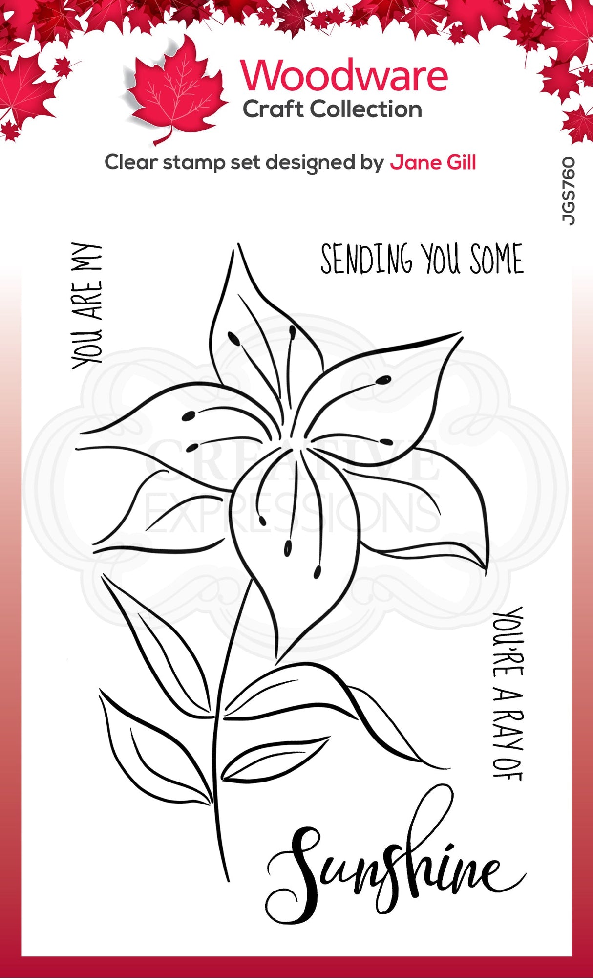 Woodware Craft Collection Woodware Clear Singles Lily Sketch 4 in x 6 in Stamp (Ships around May 24th)