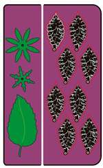 Cheery Lynn Designs - Build A Flower #1 - Petals & Leaves